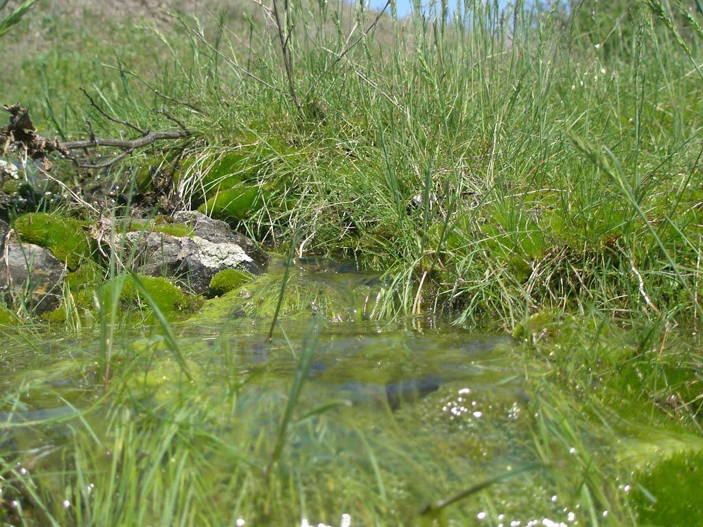 Міусинськ з panoramio.com (ч.2) - Міусинськ