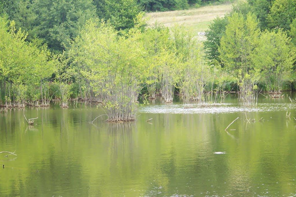 Мельники з panoramio.com - Melnyky