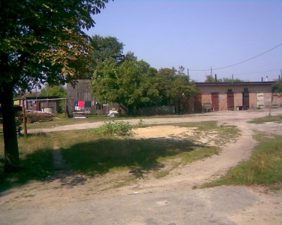 Мар'янівка з panoramio.com - Мар'янівка