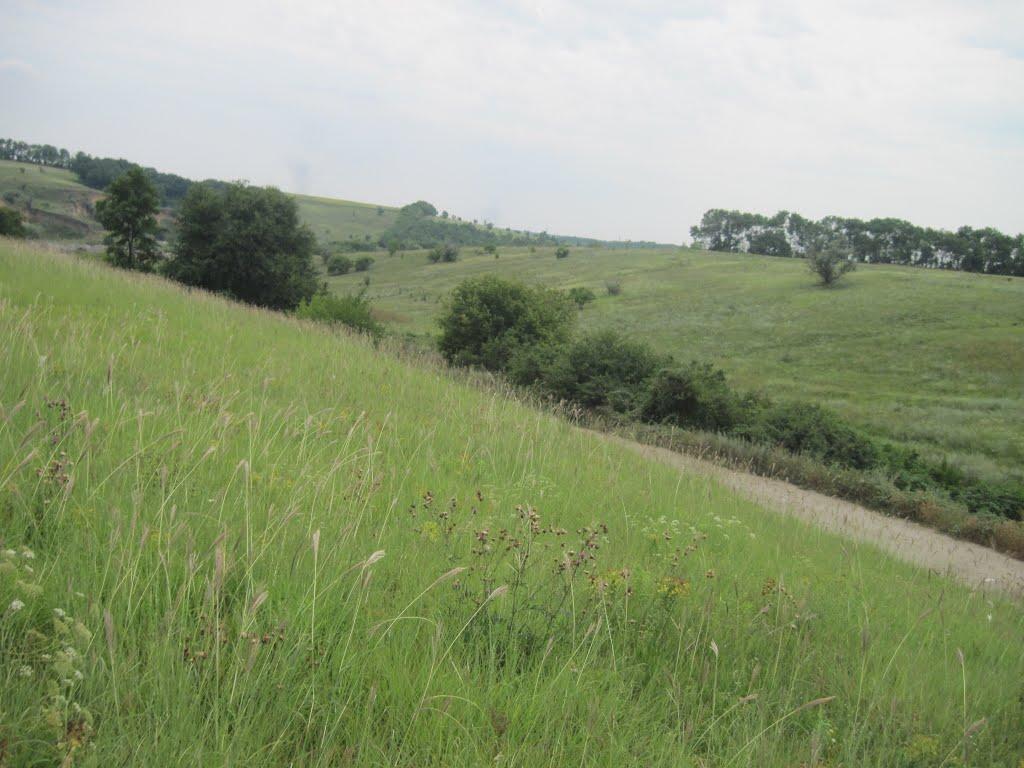 Олександрія з panoramio.com (ч.3) - Olexandria