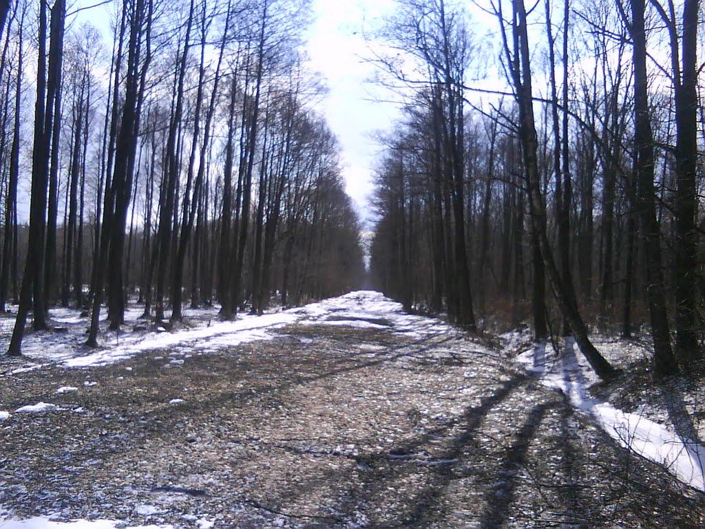 Судче з panoramio.com - Судче