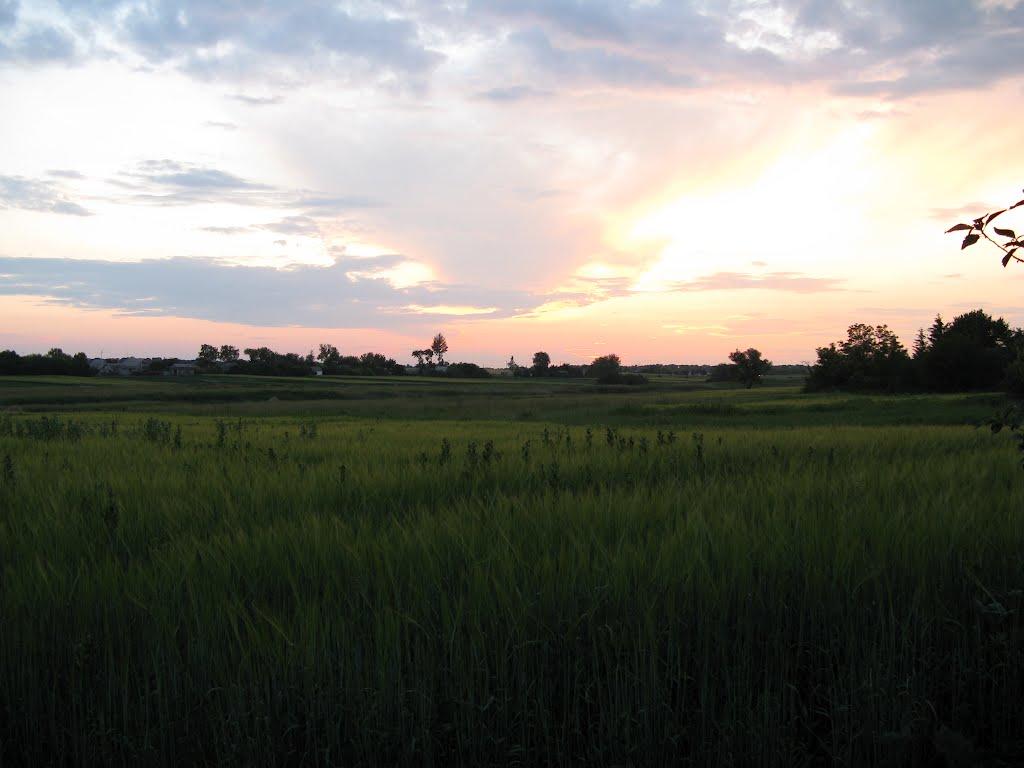 Плисове з panoramio.com - Плисове