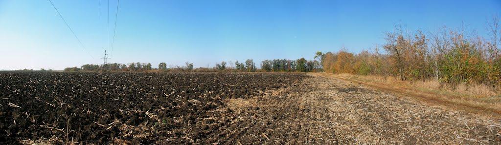 Вовча Балка з panoramio.com - Волчья Балка