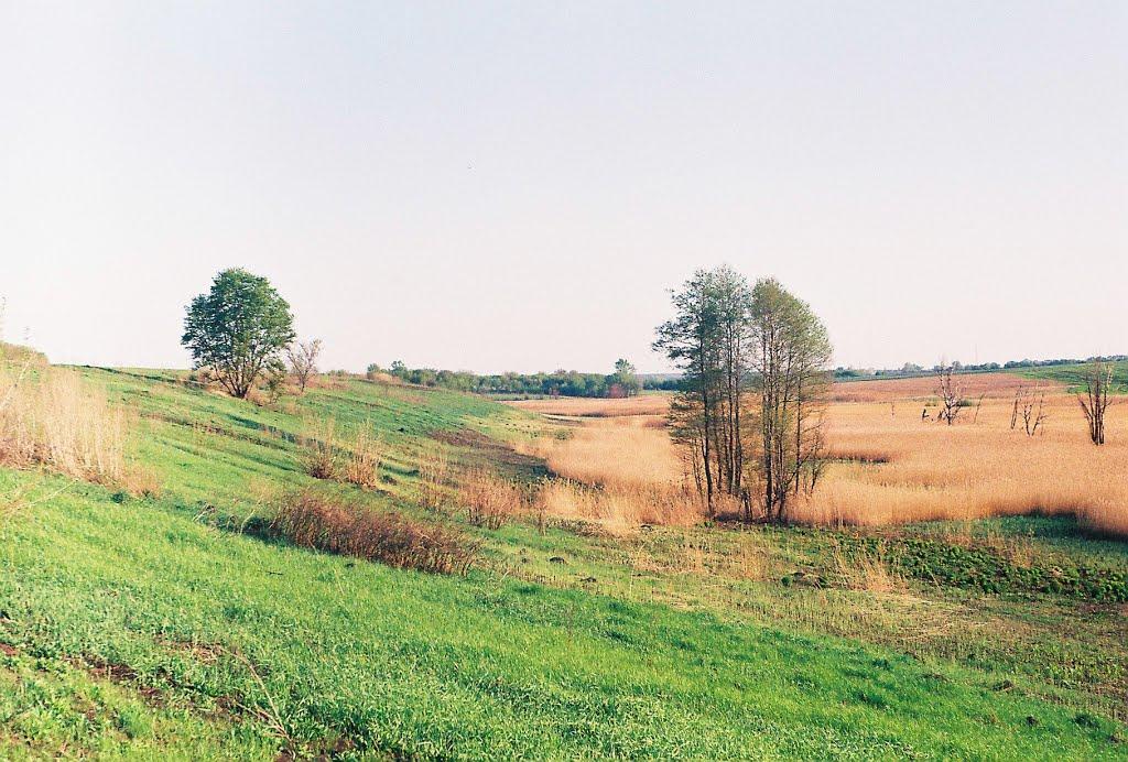 Куп'єваха з panoramio.com - Куп'єваха