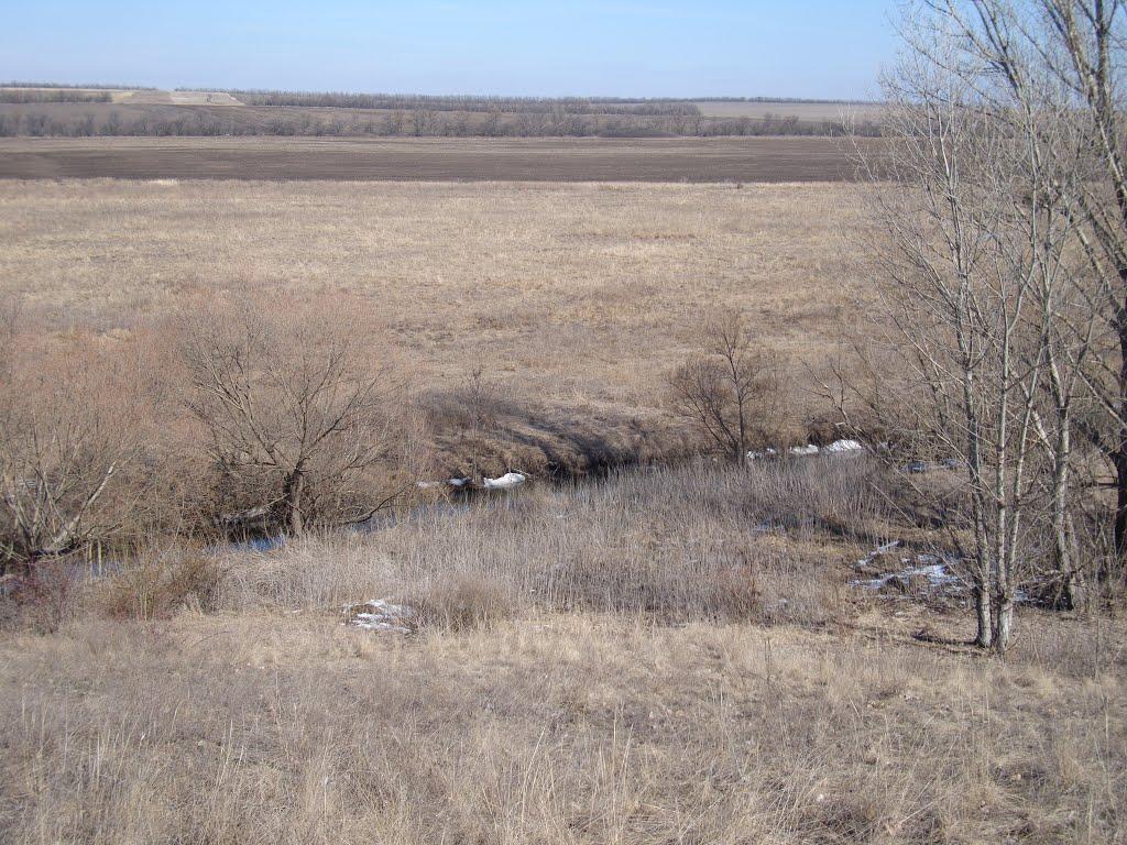 Лугове з panoramio.com - Лугове