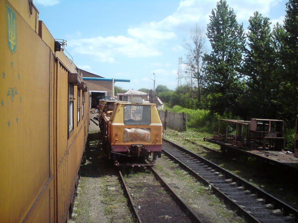 Броди з panoramio.com - Броди