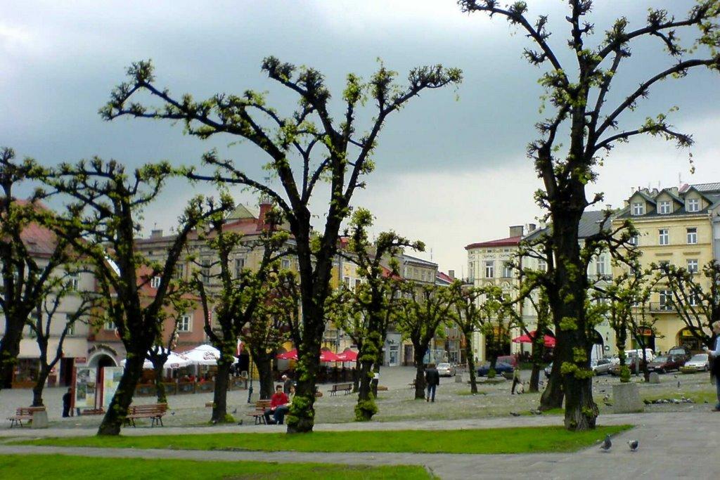 Нижанковичі з panoramio.com (ч.2) - Нижанковичі