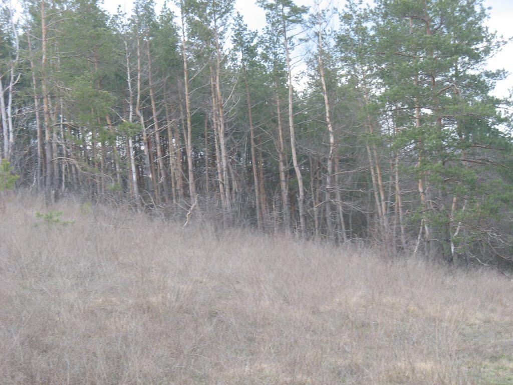 Івано-Михайлівка з panoramio.com - Івано-Михайлівка