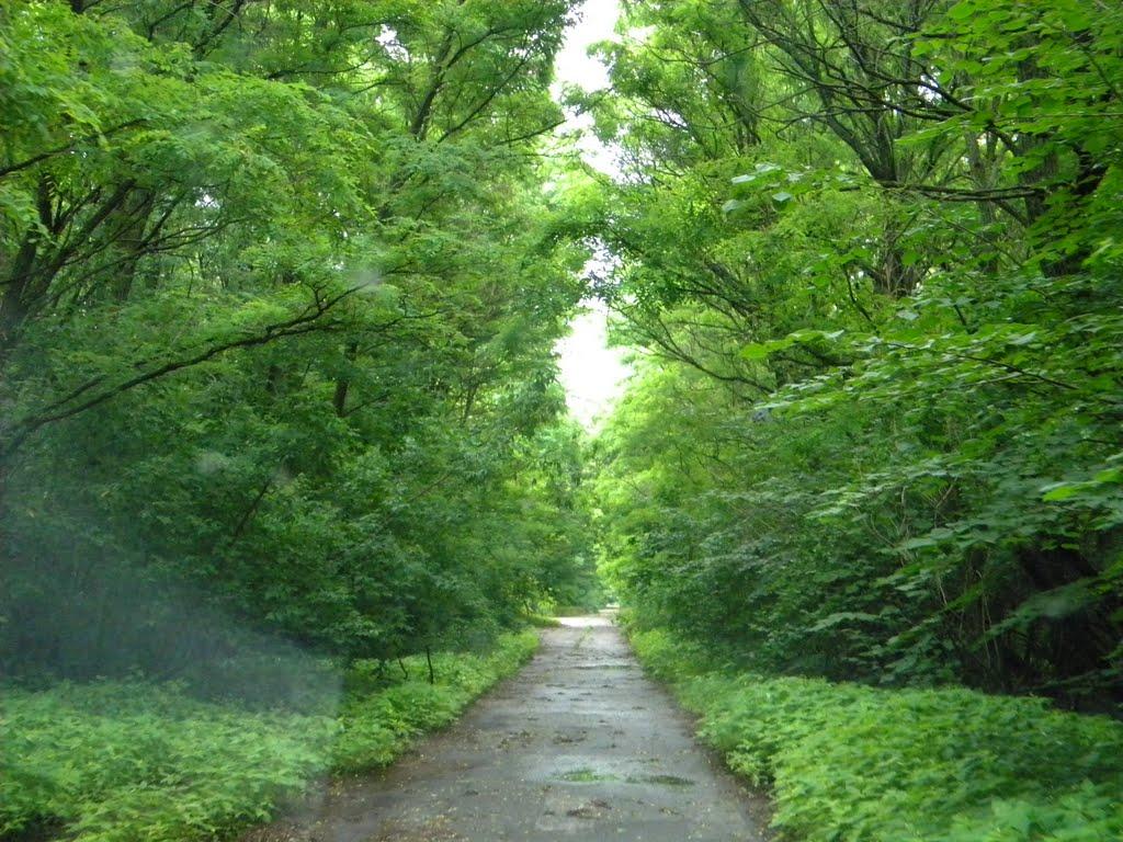 Прип'ять з panoramio.com (ч.3) - Prypyat