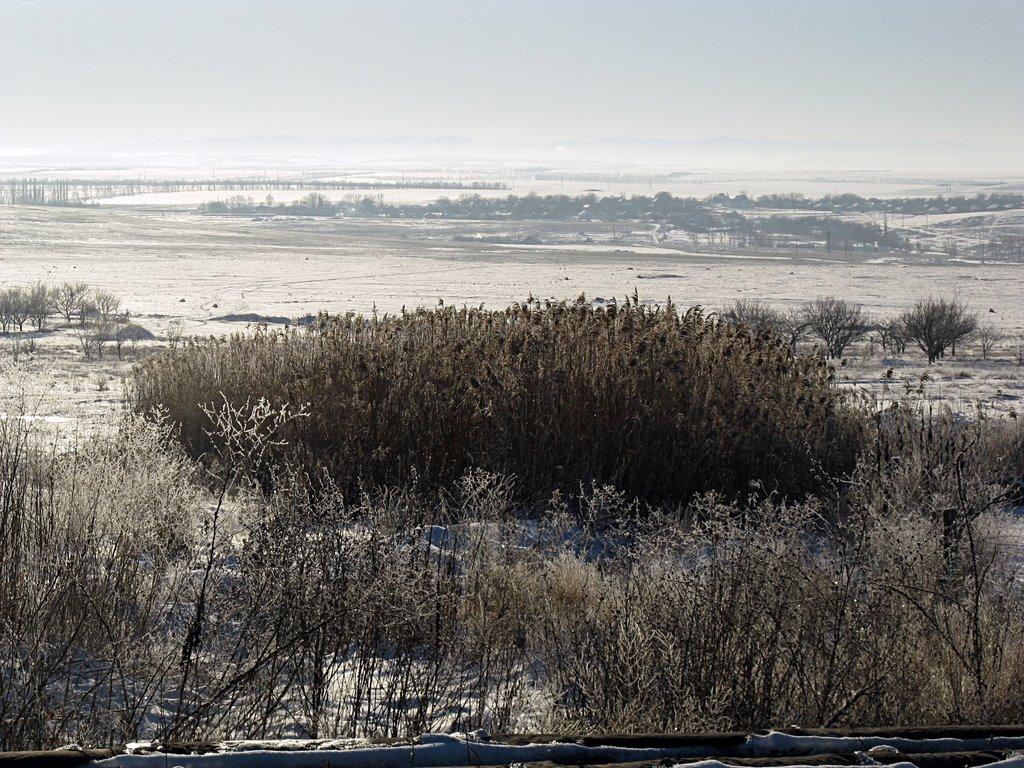 Шкільне з panoramio.com - Шкільне
