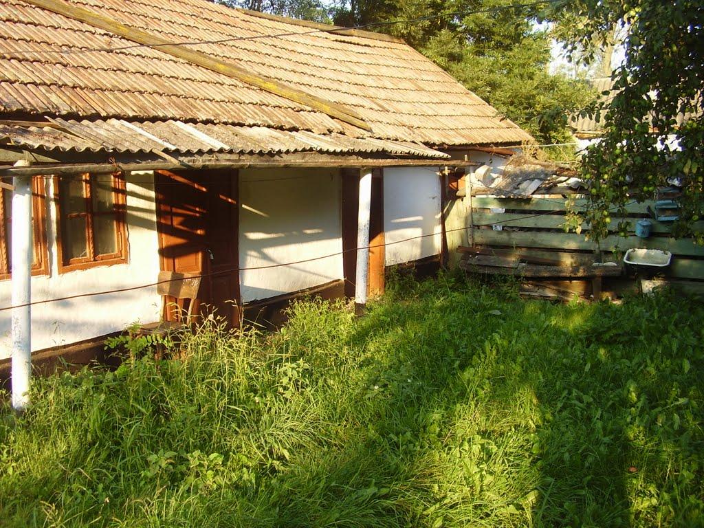 Гвіздівці з panoramio.com - Гвіздівці