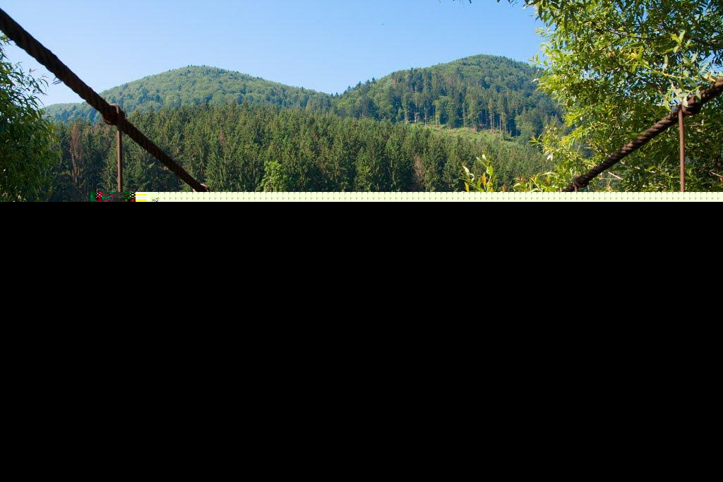 Сойми з panoramio.com - Сойми