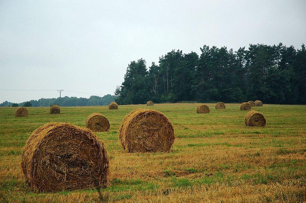 Великі Макари з panoramio.com - Velyki Makary