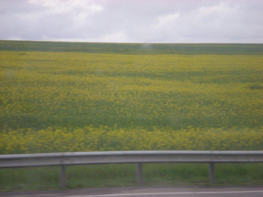 Єреміївка з panoramio.com - Еремеевка