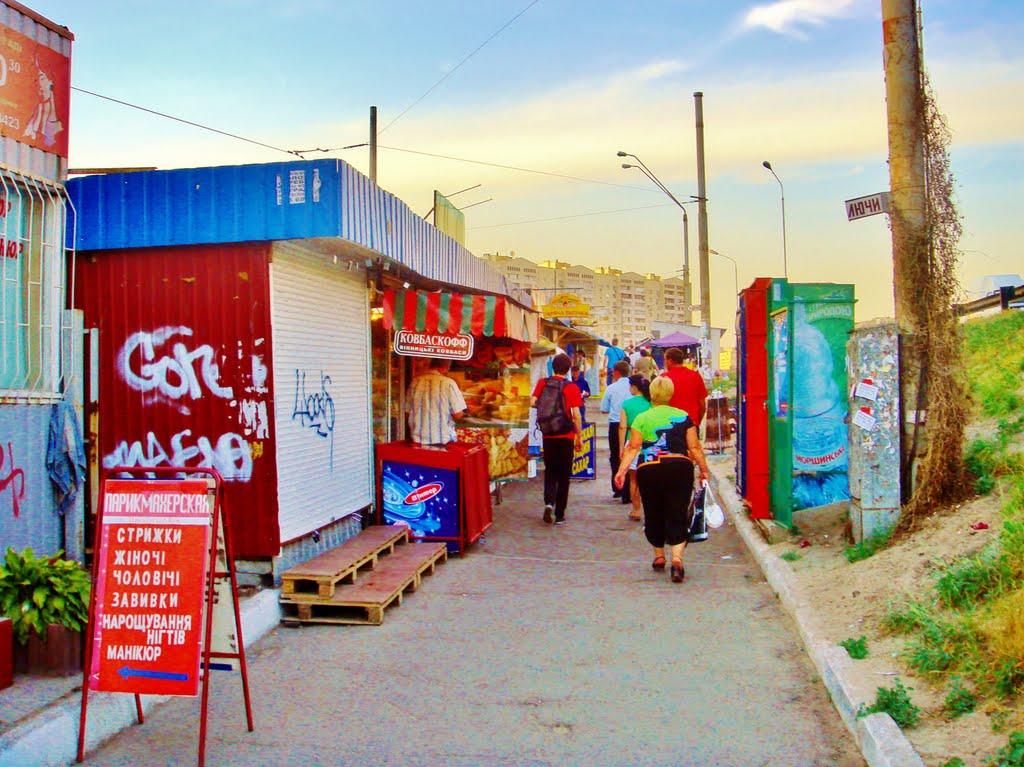 Гнідин з panoramio.com (ч.3) - Гнедин