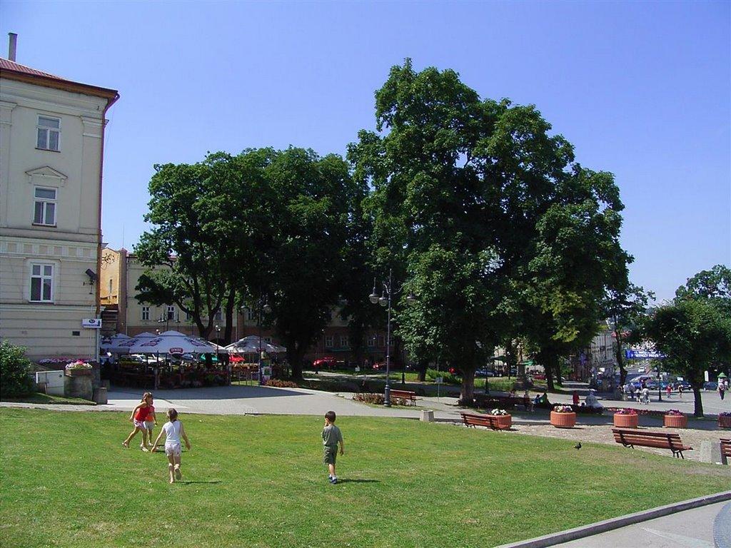 Нижанковичі з panoramio.com (ч.2) - Нижанковичи