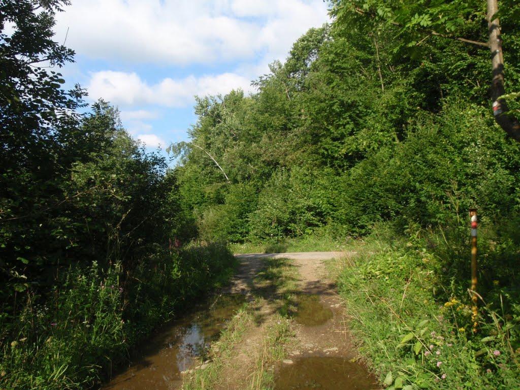 Княгиня з panoramio.com - Княгиня