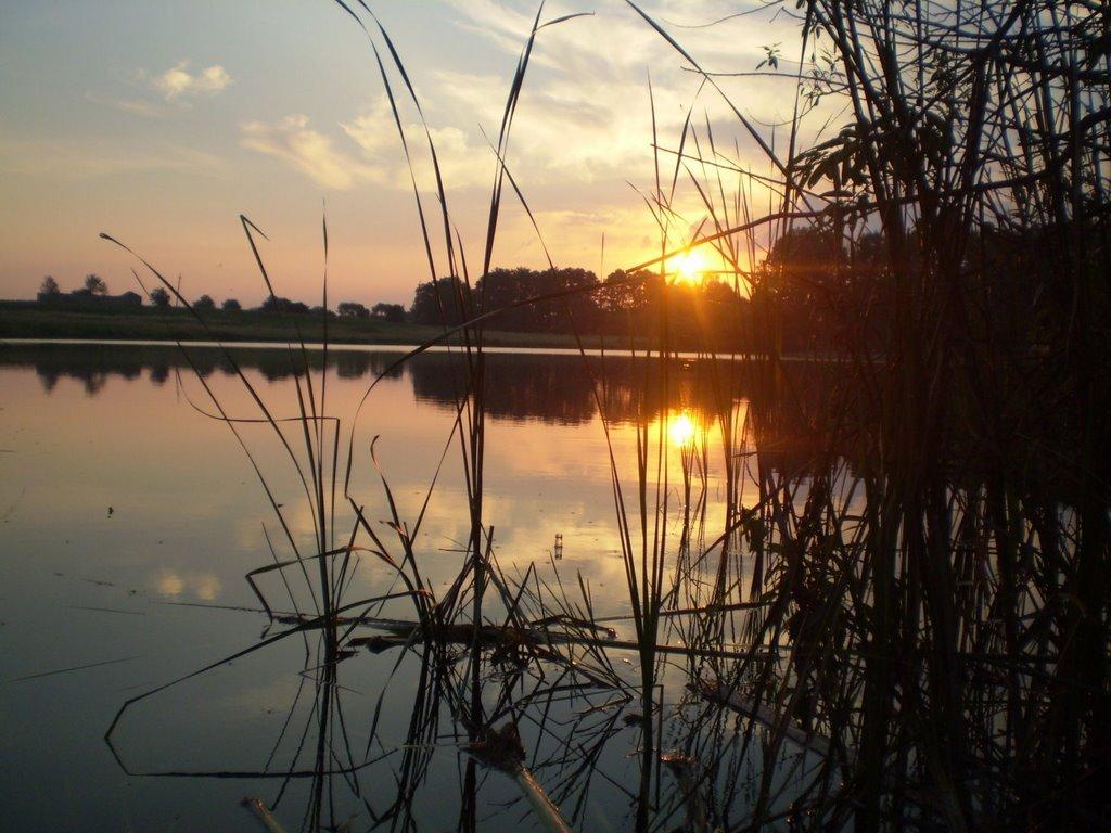 Пиріжки з panoramio.com - Пиріжки