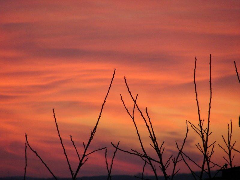 Вілюничі з panoramio.com - Вілюничі