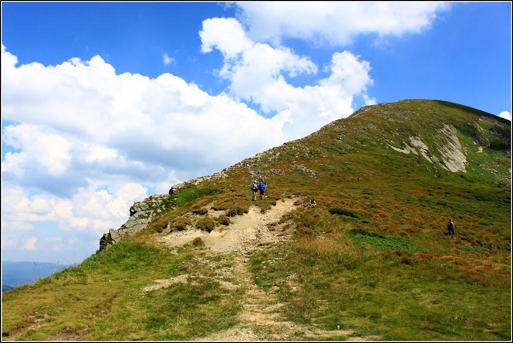 Говерла з panoramio.com (ч.2) - Говерла