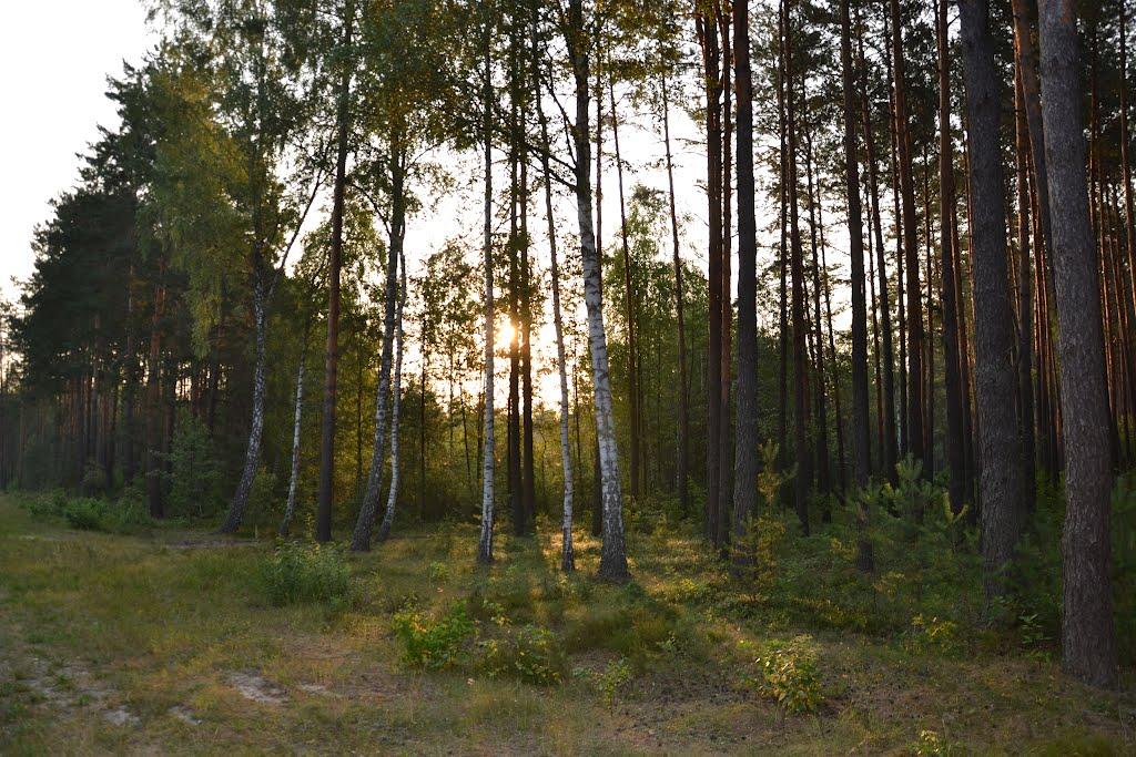 Баранівка з panoramio.com - Баранівка