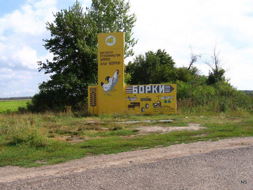 Бірки з panoramio.com - Бірки