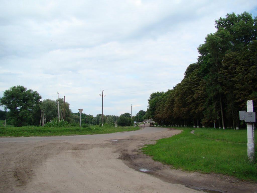 Тимошівка з panoramio.com - Тимошівка