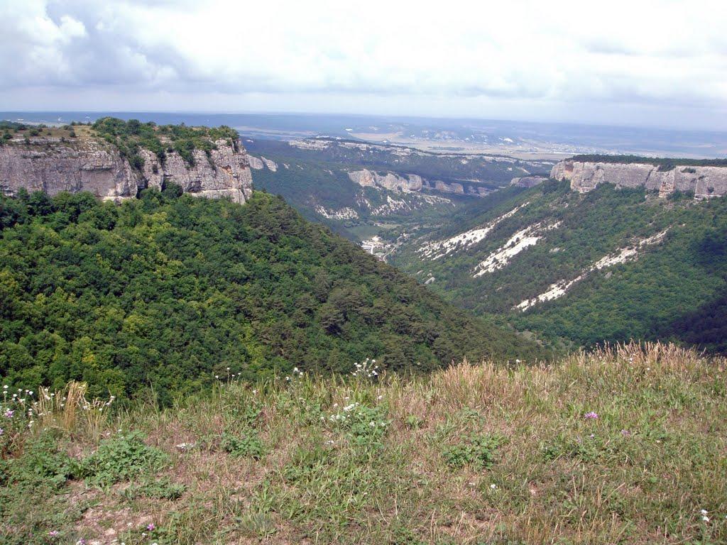 Велике Садове з panoramio.com - Большое Садовое