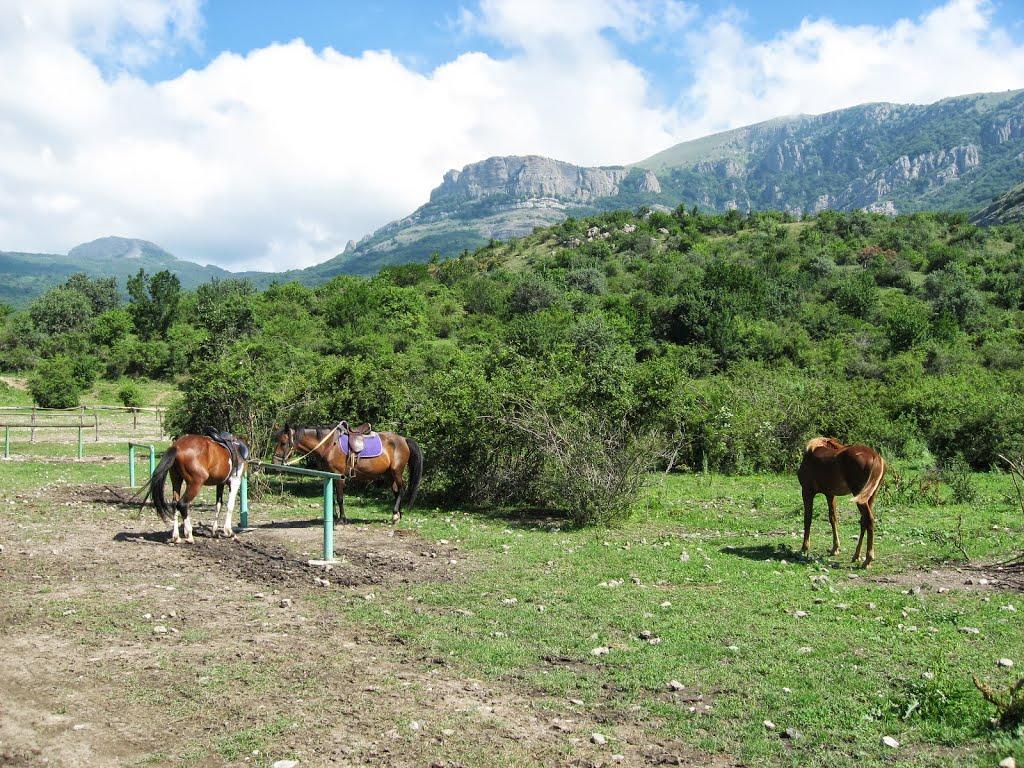 Лучисте з panoramio.com (ч.2) - Лучисте