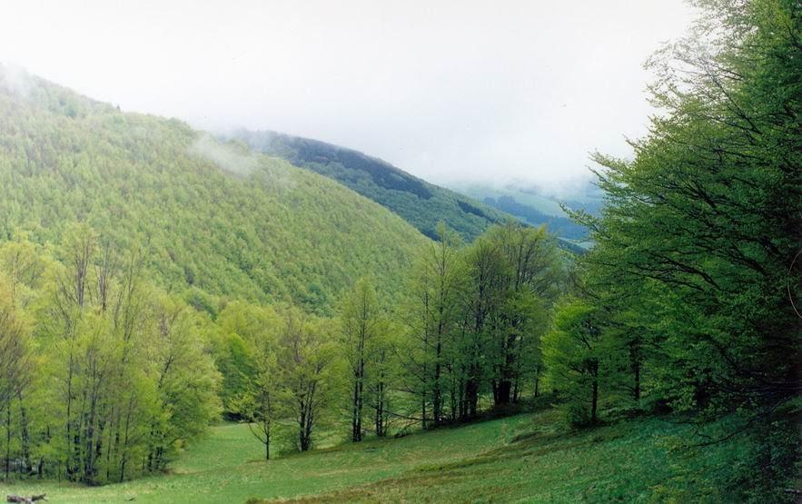 Родниківка з panoramio.com - Родниковка