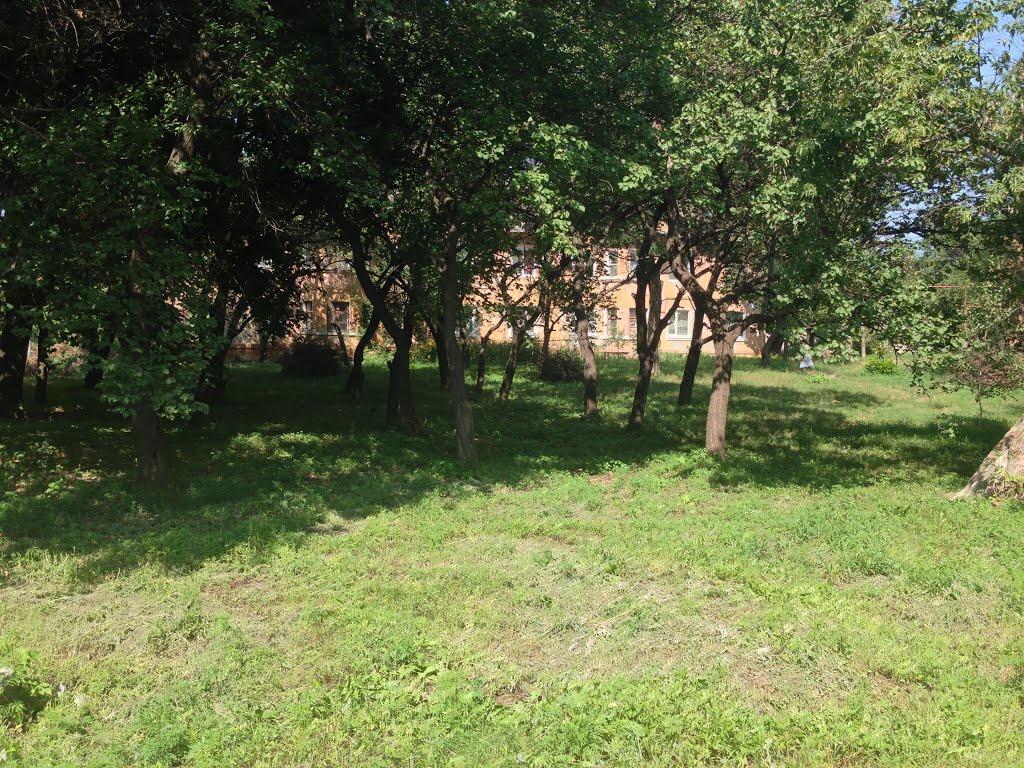 Горлівка з panoramio.com (ч.7) - Горловка