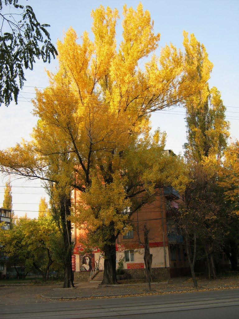 Кривий Ріг з panoramio.com (ч.9) - Кривой Рог