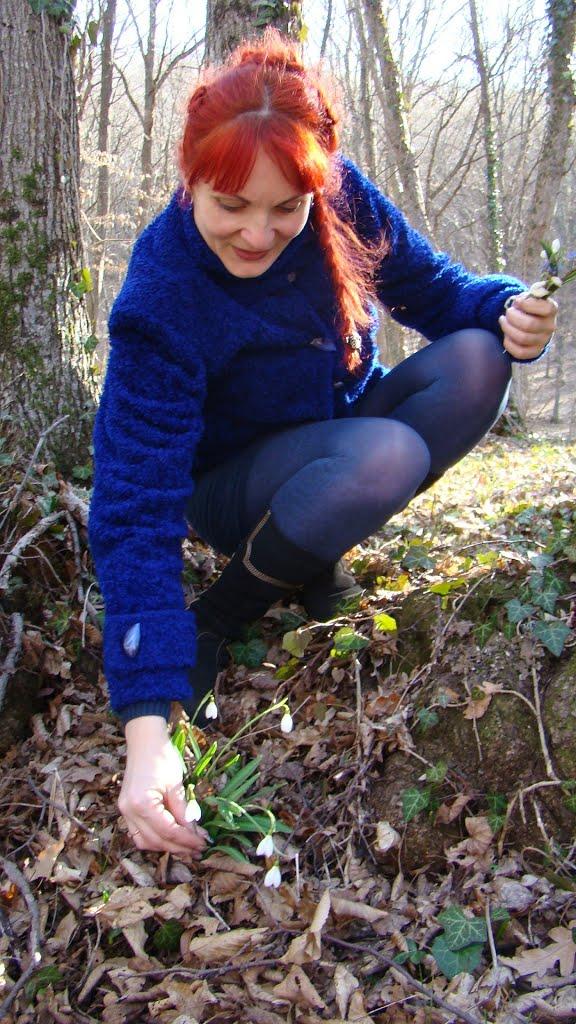 Чайковське з panoramio.com (ч.2) - Чайковське