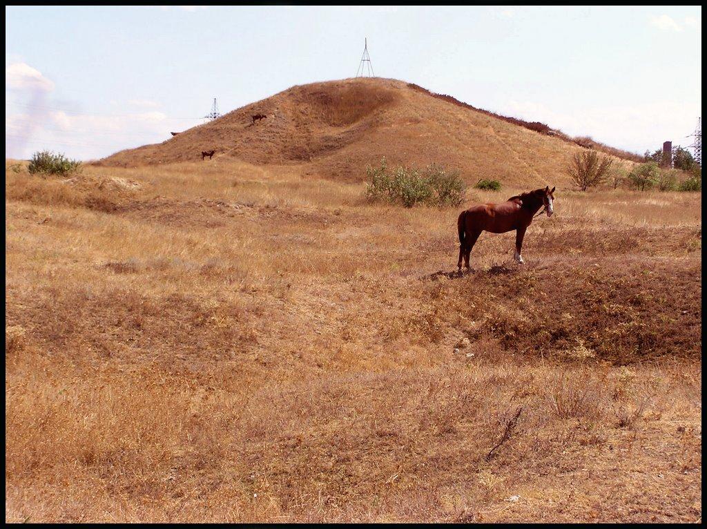 Керч з panoramio.com (ч.4) - Керчь