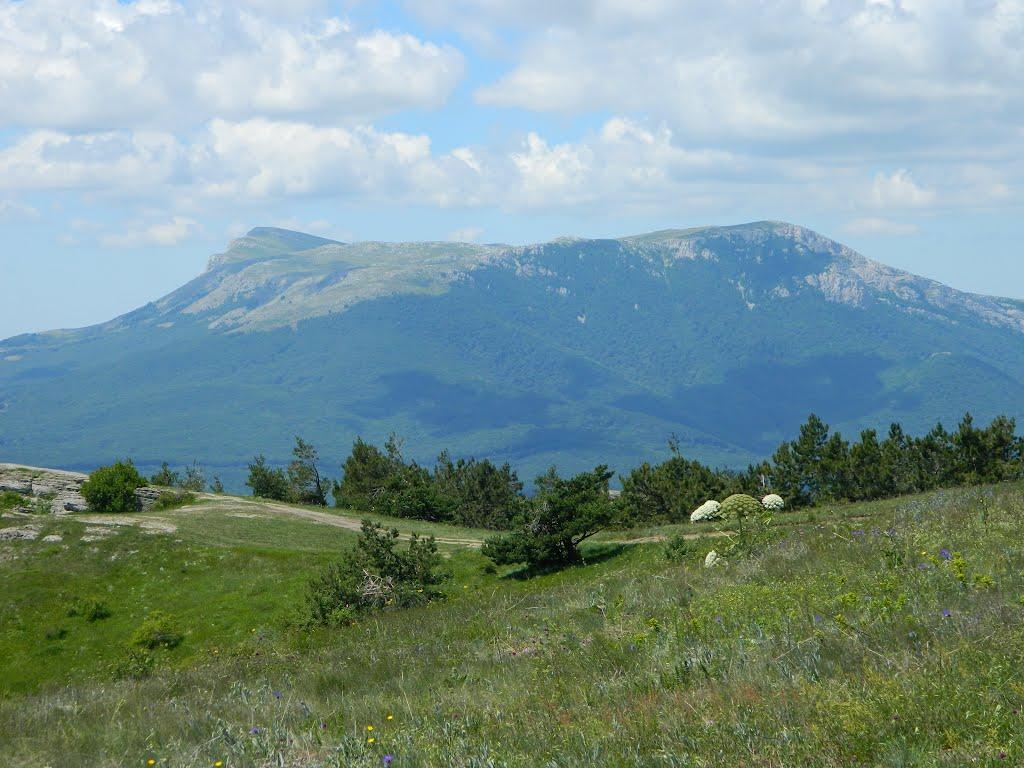 Лучисте з panoramio.com (ч.2) - Luchyste