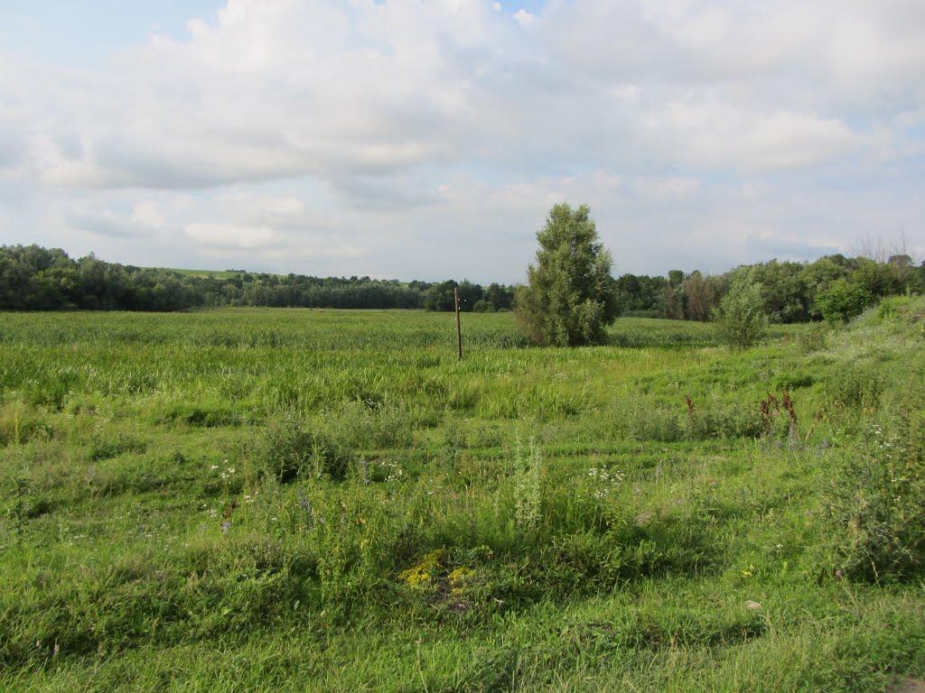 Нове Поріччя з panoramio.com - Нове Поріччя