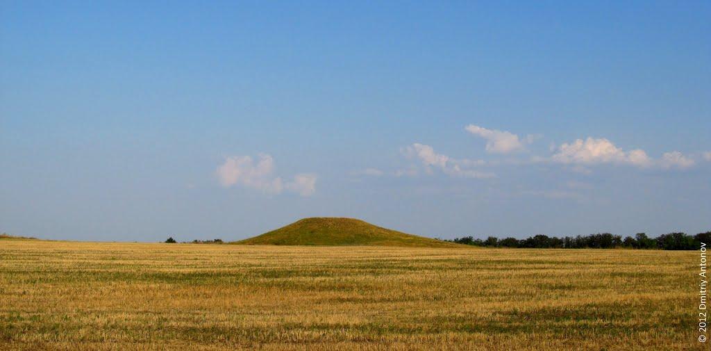 Тік з panoramio.com - Ток