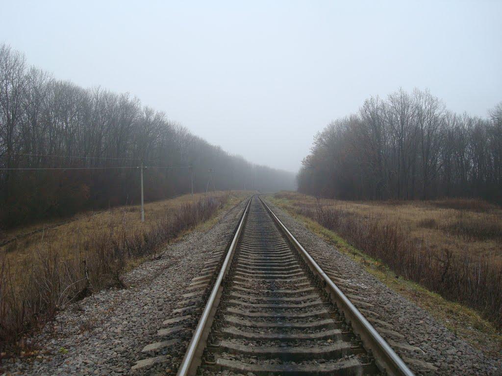 Соколівка з panoramio.com - Соколівка