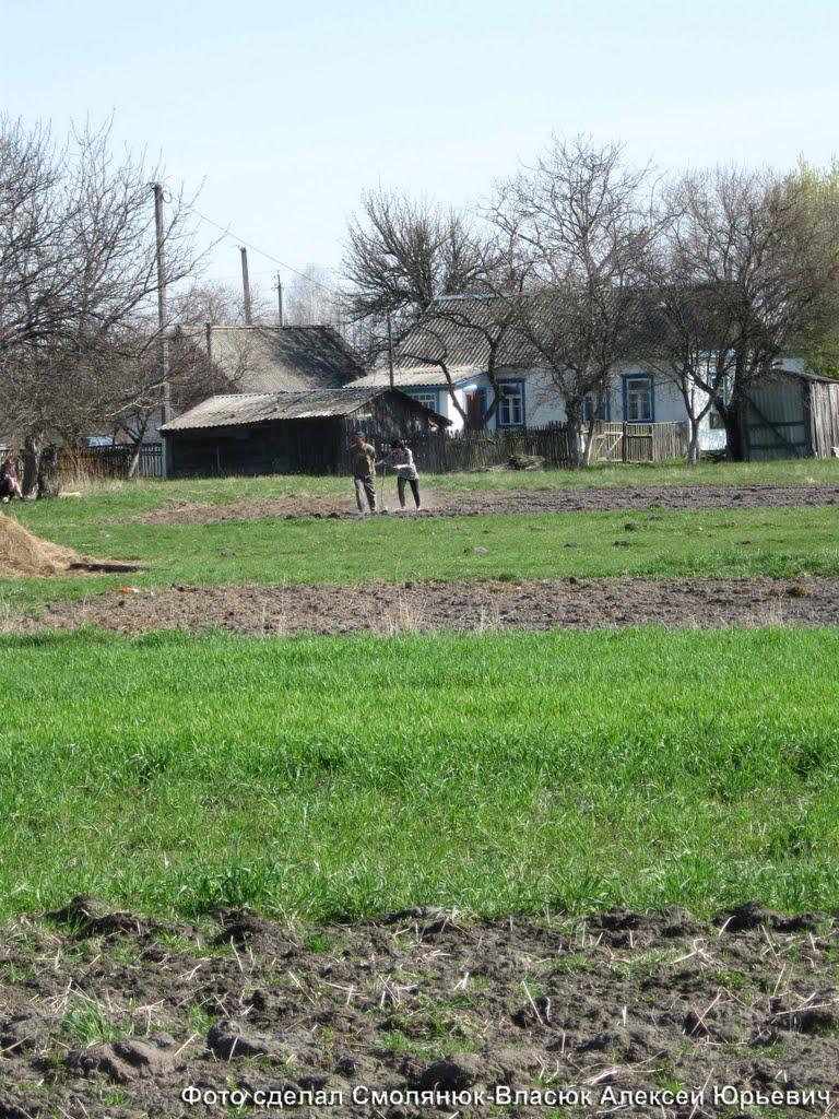 Лісівщина з panoramio.com - Лесовщина