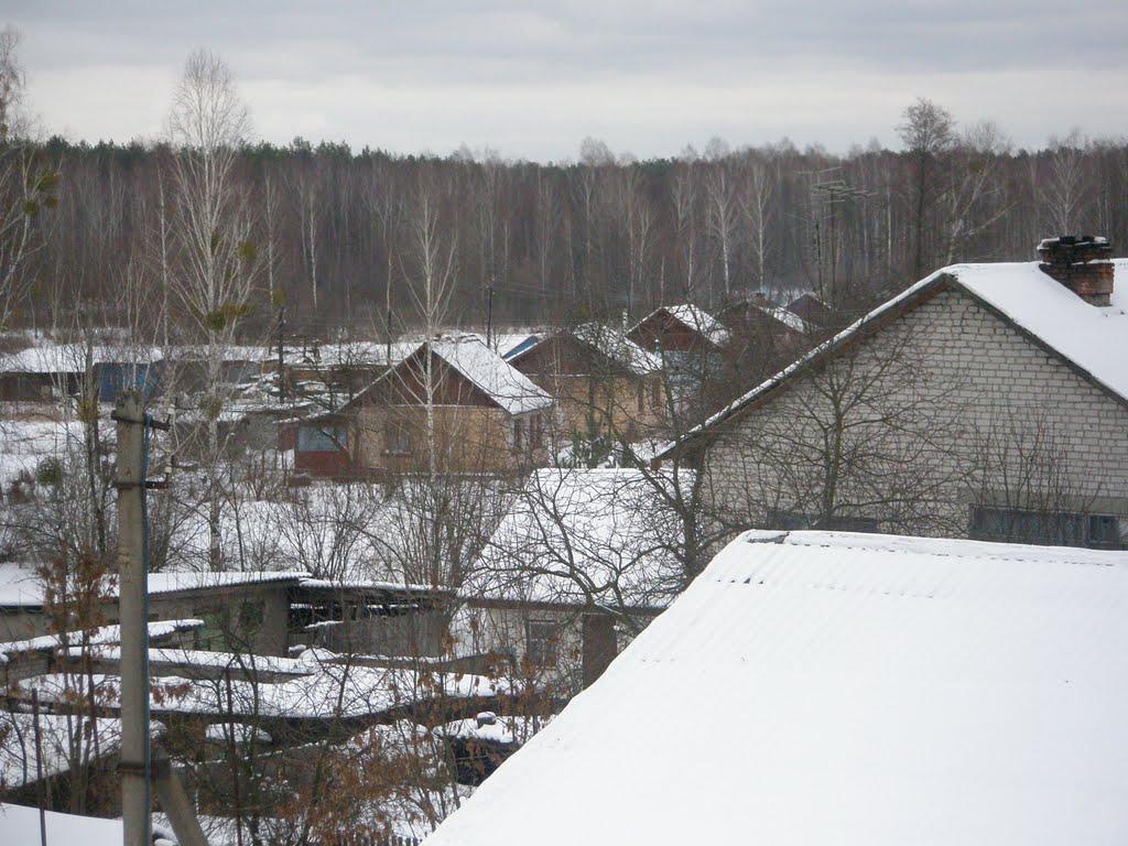 Нова Ушиця з panoramio.com - Нова Ушиця