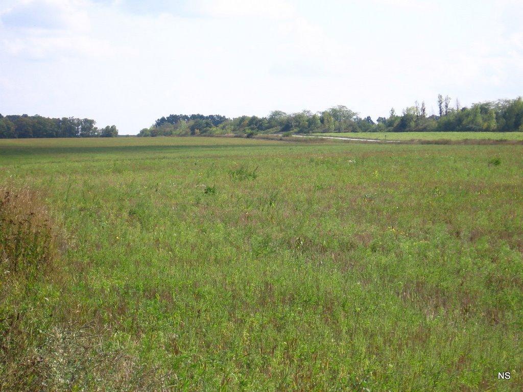 Бірки з panoramio.com - Бірки