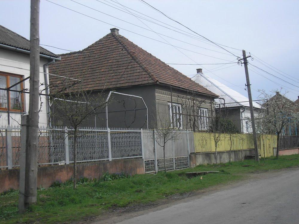 Жнятино з panoramio.com - Жнятино