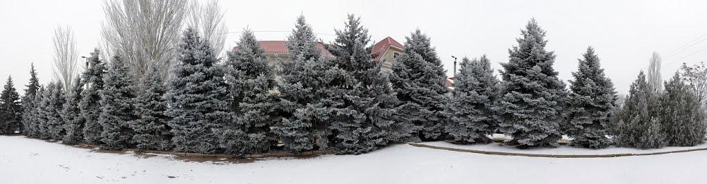 Вознесенськ з panoramio.com - Вознесенськ