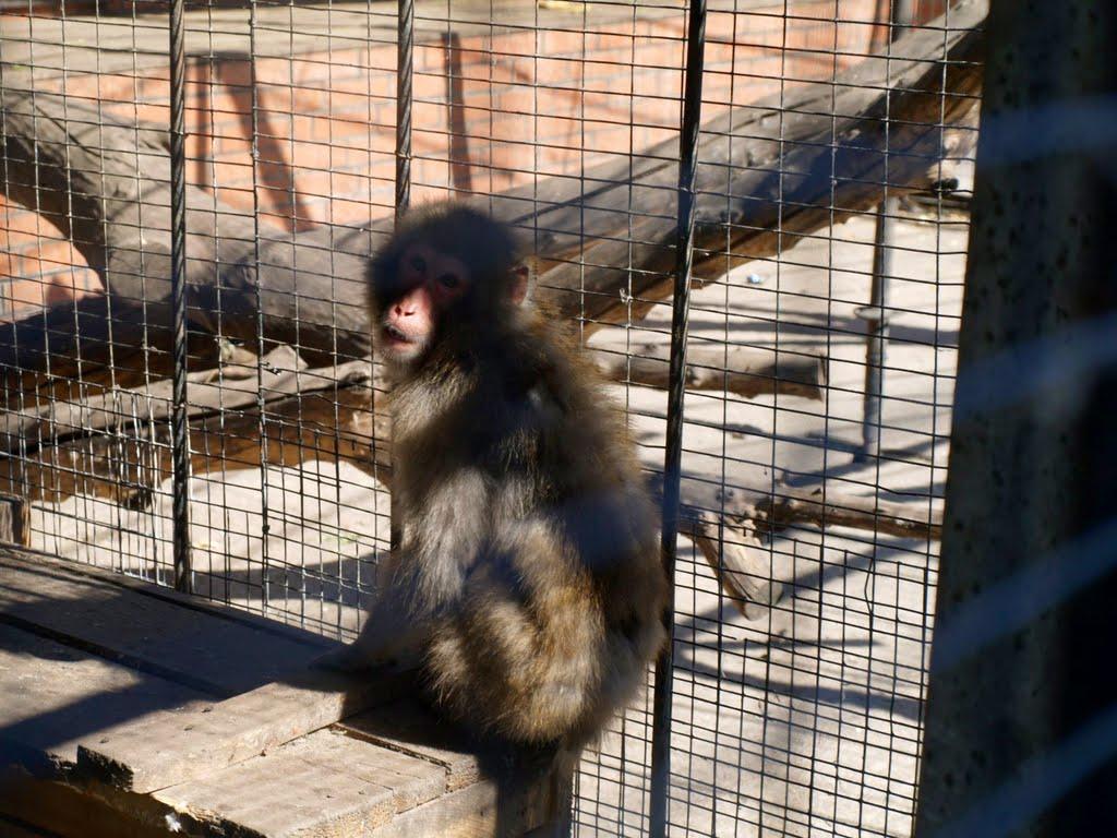 Озера з panoramio.com - Озера