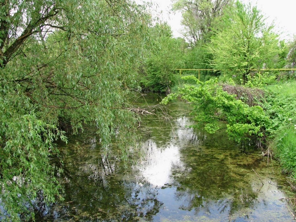 Кринички з panoramio.com - Кринички