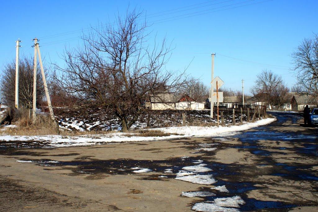 Данилова Балка з panoramio.com - Данилова Балка