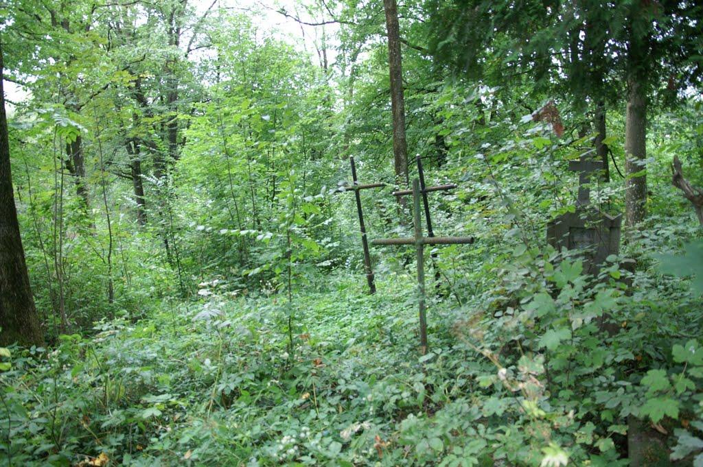 Долина з panoramio.com - Долина