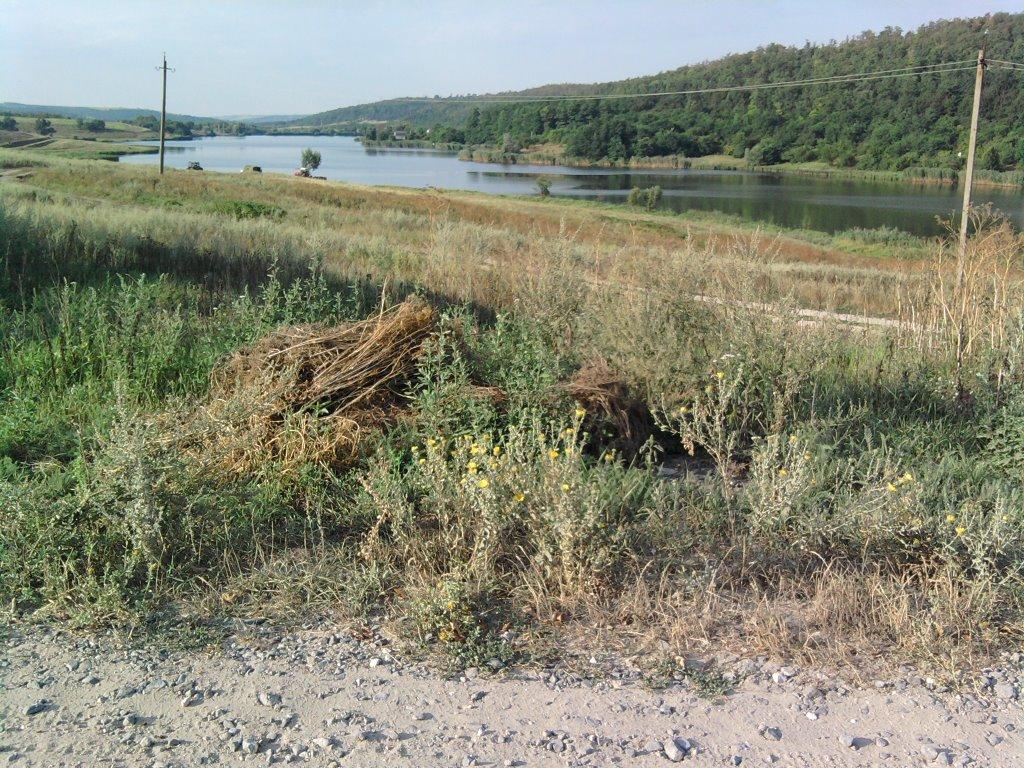 Малий Фонтан з panoramio.com - Малый Фонтан