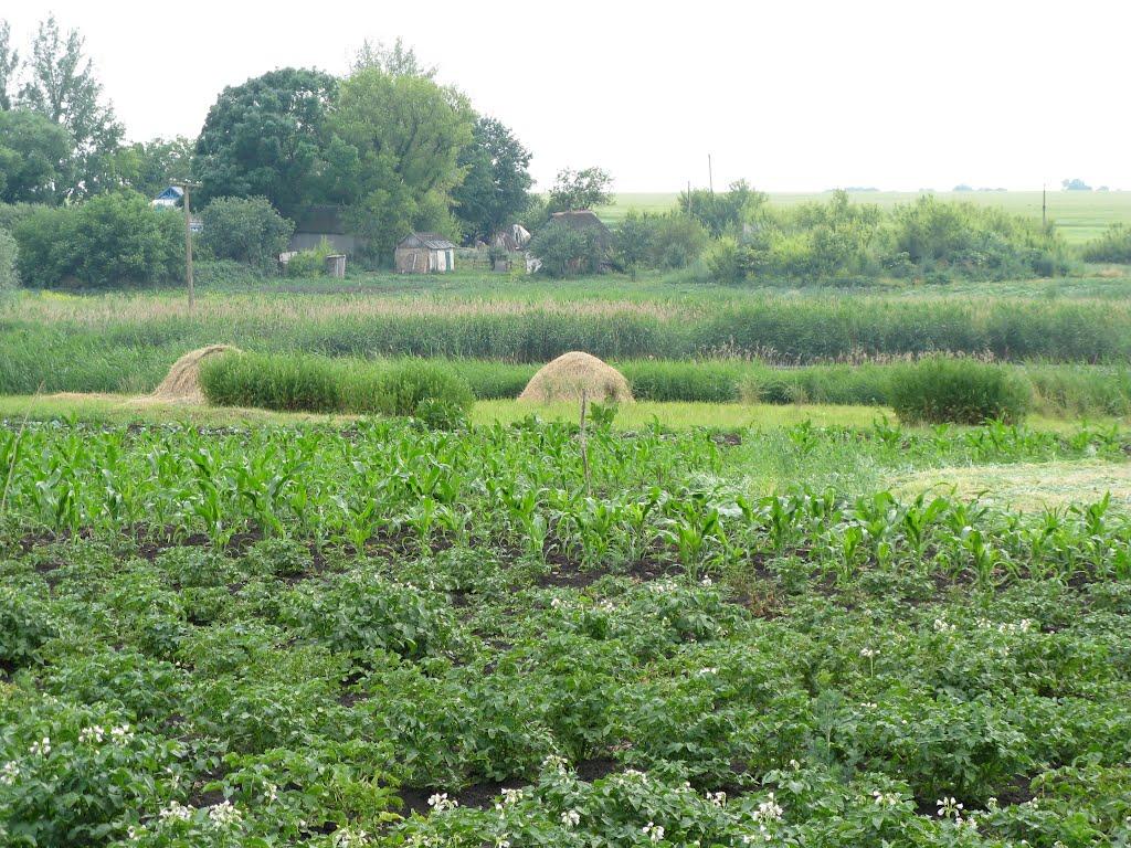 Плисове з panoramio.com - Плисове