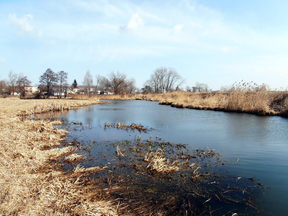 Черкаси з panoramio.com - Cherkasy